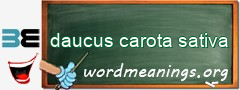 WordMeaning blackboard for daucus carota sativa